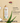 African Pride Moisture Miracle Curl Milk & Detangler 354ml